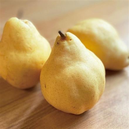 04A011:新潟市南区小林果樹園ルレクチエ4kg箱(8~14玉入)【発送期間 11月下旬~12月中旬】