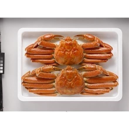 【eギフト】202:ボイルずわいがに姿 450g×2杯