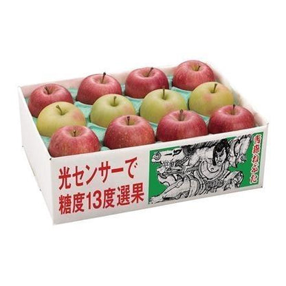 46A308：青森県産　丸かじり小玉りんごサンふじと名月 2.8kg【発送期間 11月下旬～12月下旬】