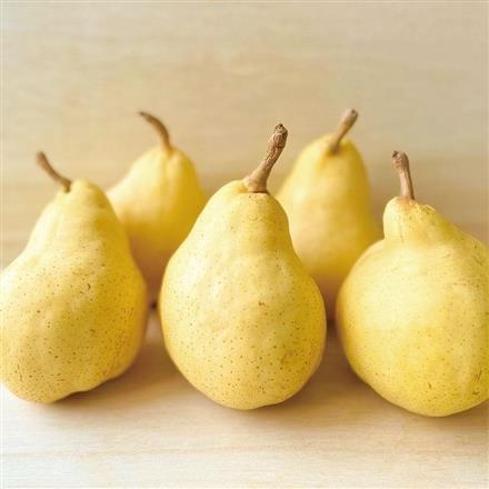 05A016：新潟県ＪＡ佐渡羽茂　ルレクチエ（赤秀）4kg箱（6～8玉）【発送期間 12月上旬～12月下旬】