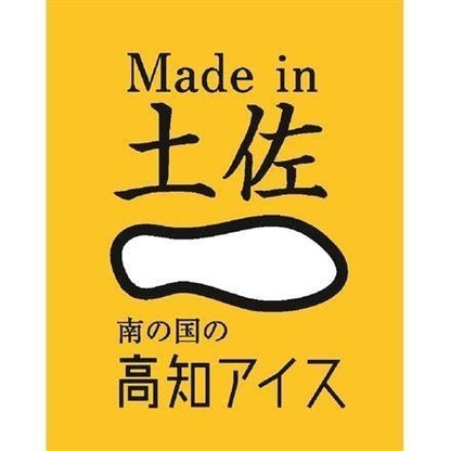 189:高知　Made in 土佐 「南の国の高知アイス」 高知アイスセット