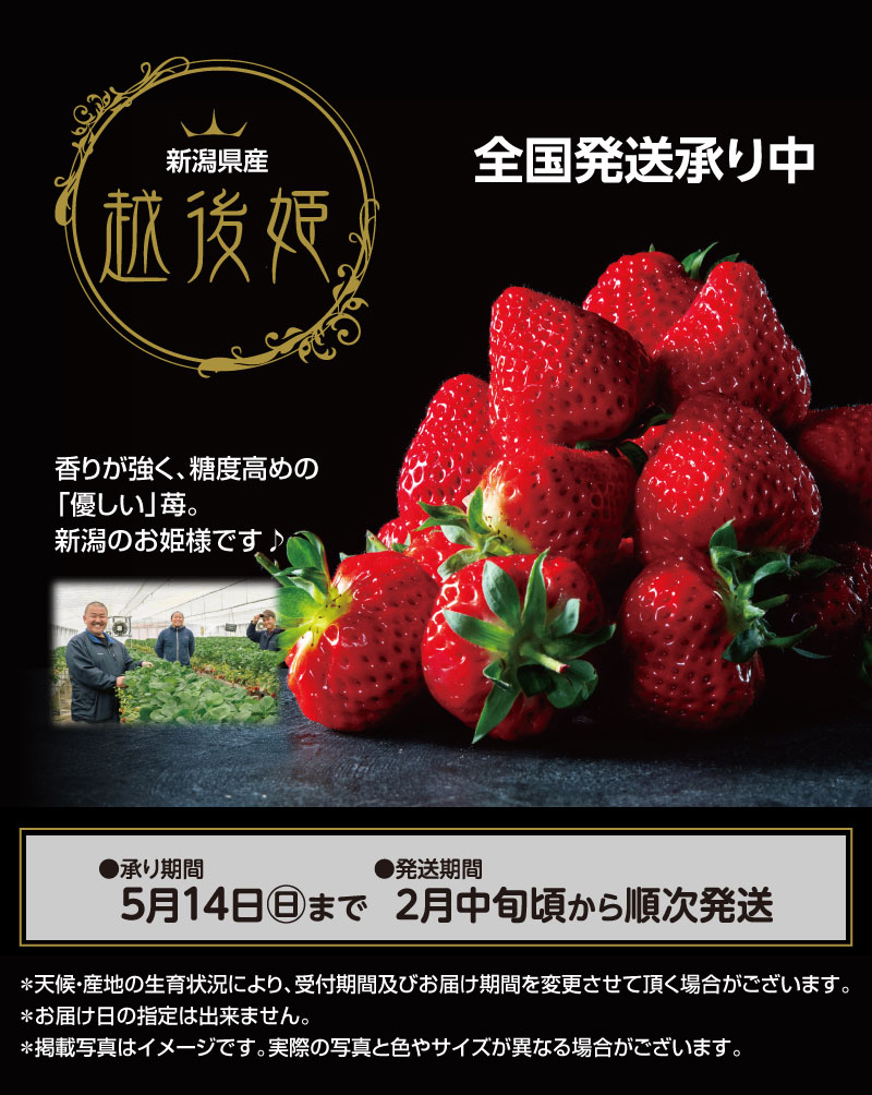 越後姫ポスター