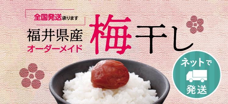 ネット：梅干し