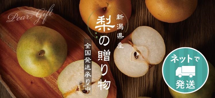 ネット：梨