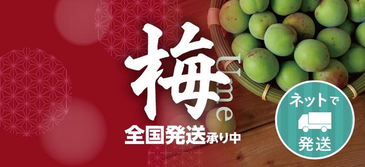 ネット：梅