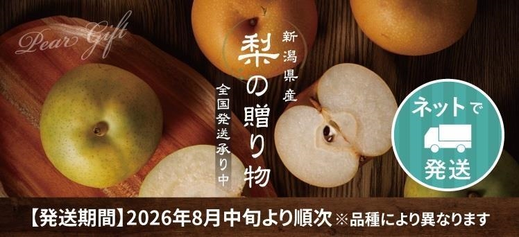 ネット：梨