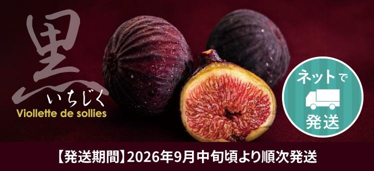 ネット：ビオレいちじく