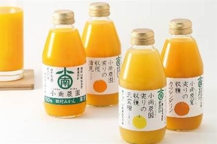 ４種の柑橘ジュースセット