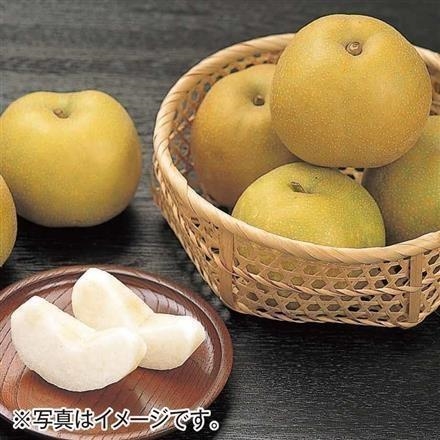 A003：新潟県 JAえちご中越 幸水梨 「糖鮮確実」10玉～14玉　5kg箱