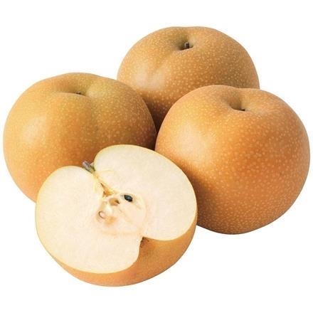 A008：新潟県産　JAえちご中越 豊水梨 「糖鮮確実」 5kg箱（10～14玉入）