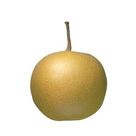 A015：新潟県　JA新潟かがやき･ＪＡ新潟市(梨の実館)　新美月　秀品10～16玉入　5kg
