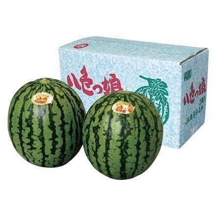06A025：新潟県産(魚沼地区) 紅小玉西瓜（八色っ娘） 　秀　２個入　１箱