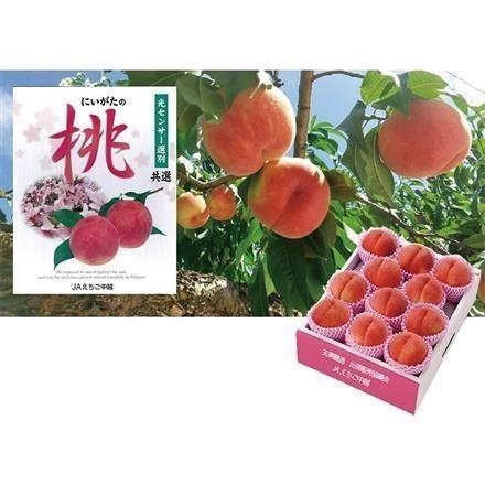 07A028：ＪＡえちご中越　糖鮮確実もも（白鳳系、又は白桃系）糖鮮確実３ｋｇ化粧箱（8～12玉）
