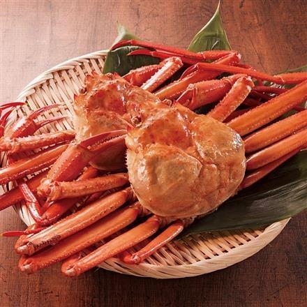 08G033：能生漁港直送　浜茹紅ずわいがに　約500g × 2ハイ