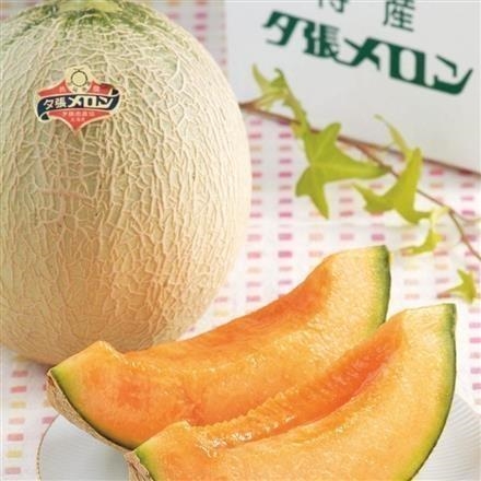 42T292：鹿内青果　夕張メロン（特大玉）１玉