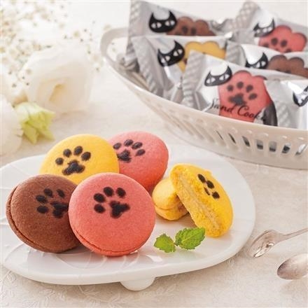 47T335：イーペルの猫祭り　サンドクッキー