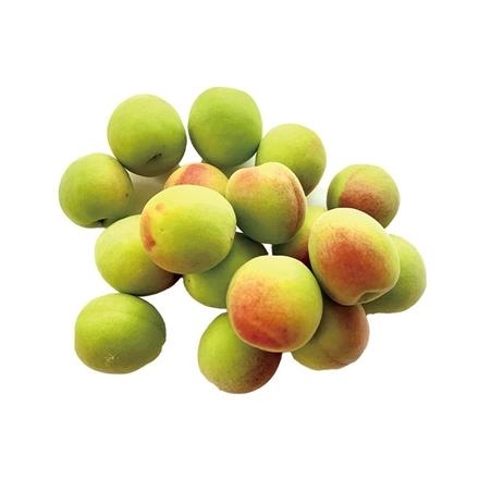 A679：和歌山県産　木熟南高梅　２Ｌアップ　５ｋｇ