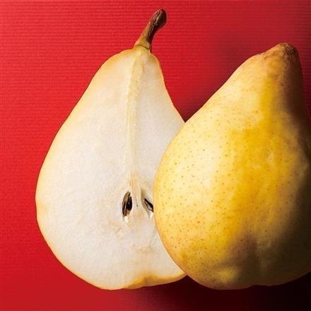 05A017：新潟県ＪＡ佐渡　羽茂 ル レクチエ 青秀3kg（6～11玉入）【12月上旬～下旬発送】