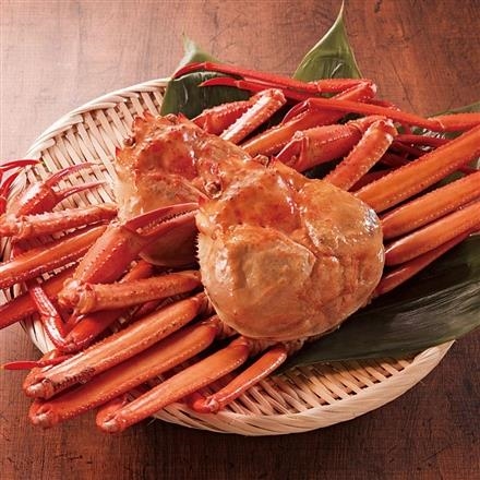 08G034：能生漁港直送　浜茹紅ずわいがに　約500g × 2ハイ
