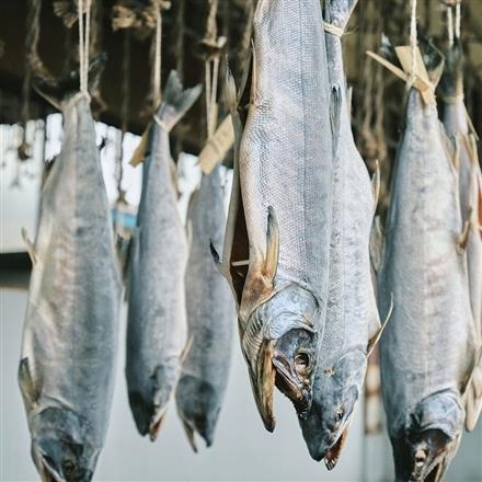 09G044:村上名産　塩引鮭酒びたしセット