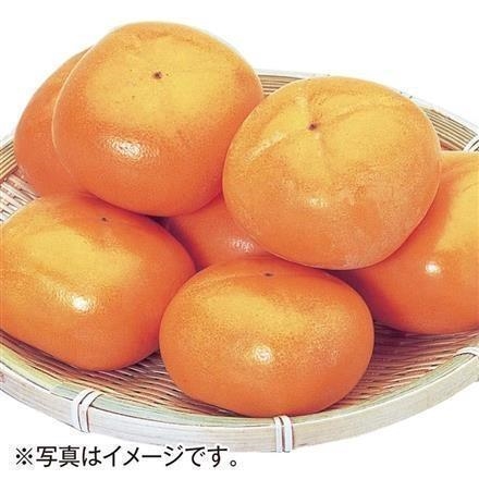A654：新潟県 JA佐渡 おけさ柿　赤秀（2L/16玉入）一段箱【11月上旬頃から発送】