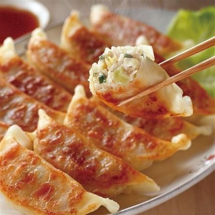 【ネット割】53T366：宇都宮餃子会加盟　とんきっき餃子(20個入り)2箱