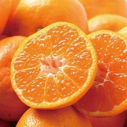 47T320：ダイワ果園　温室デコポン【発送期間12月中旬～12月下旬頃】