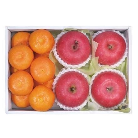 47T319：ダイワ果園　ウインタープチギフト【発送期間11月下旬～12月下旬頃】