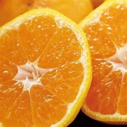 47K316：和歌山県産　いなかもん倶楽部の有田みかん３ｋｇ【発送期間11月下旬～12月下旬】