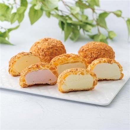 43T287：銀座千疋屋　銀座プレミアムシューアイス