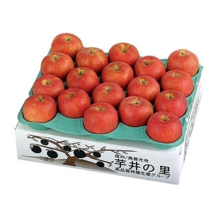 【長野】33A210：長野県芋井地区産　サンふじりんご5kg箱（12～18玉入）