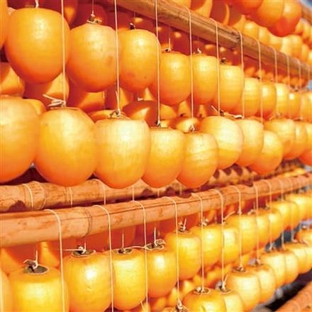 【長野】32Y206：長野県産　市田柿