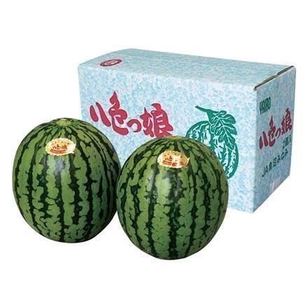 06A024：新潟県産(魚沼地区) 紅小玉西瓜（八色っ娘） 　秀　２個入　１箱