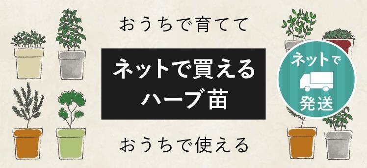 ネット：ハーブ