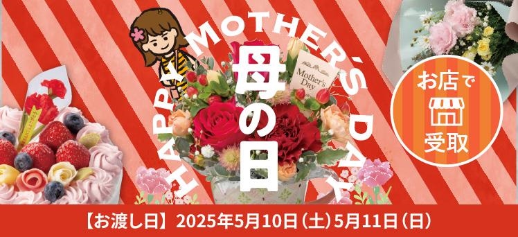 お店：（info）母の日