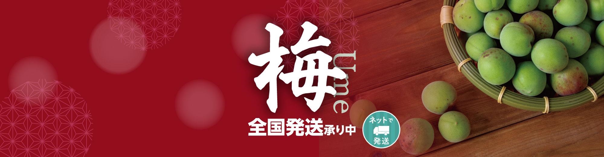 スライド：梅